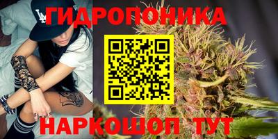 амф Канаш