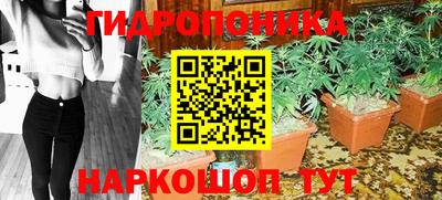 индика Азнакаево