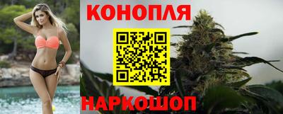 мдма Камышлов