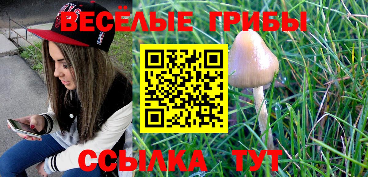 Псилоцибиновые грибы ЛСД  Псилоцибиновые грибы MAGIC MUSHROOMS  магазин    Славянск-на-Кубани  Вход с VPN 