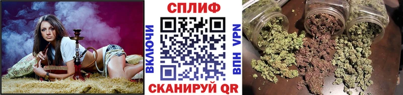 Каннабис конопля  Славянск-на-Кубани 